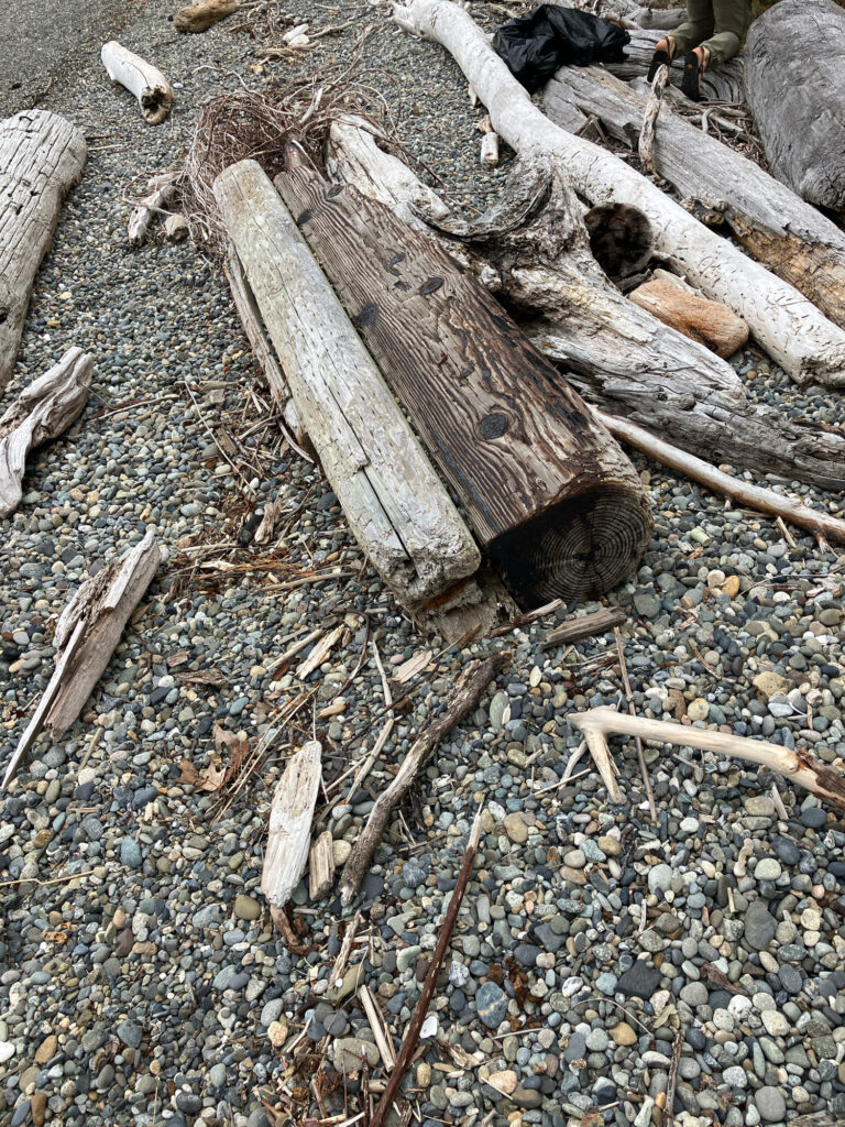 a tree trunk on a rocky ground (MyCoast AI)