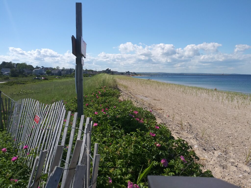a fence on a beach (MyCoast AI)
