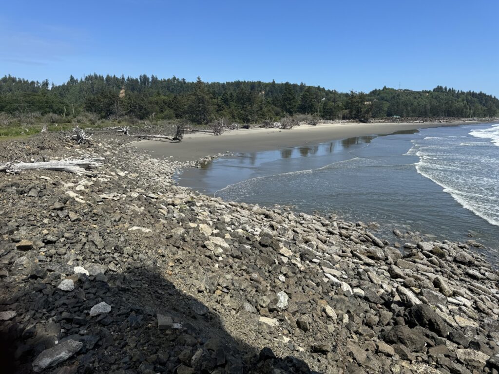a rocky beach with trees in the background (MyCoast AI)