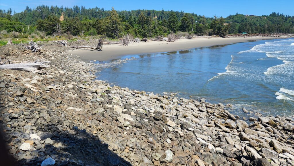 a rocky beach with trees in the background (MyCoast AI)