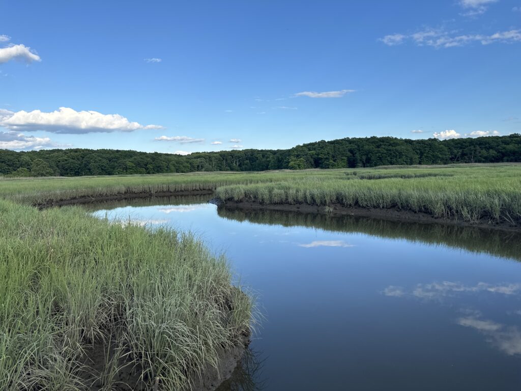 a body of water with grass and trees around it (MyCoast AI)