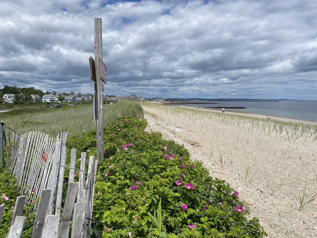 a beach with a fence and flowers (MyCoast AI)