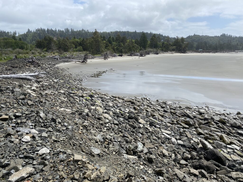 a rocky beach with trees in the background (MyCoast AI)