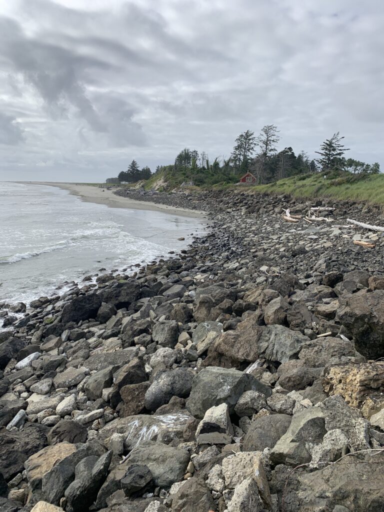 a rocky beach with trees and a hill in the background (MyCoast AI)