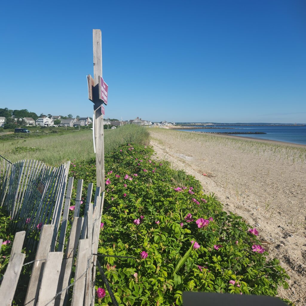 a fence on a beach (MyCoast AI)