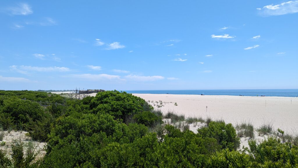 a beach with trees and bushes (MyCoast AI)