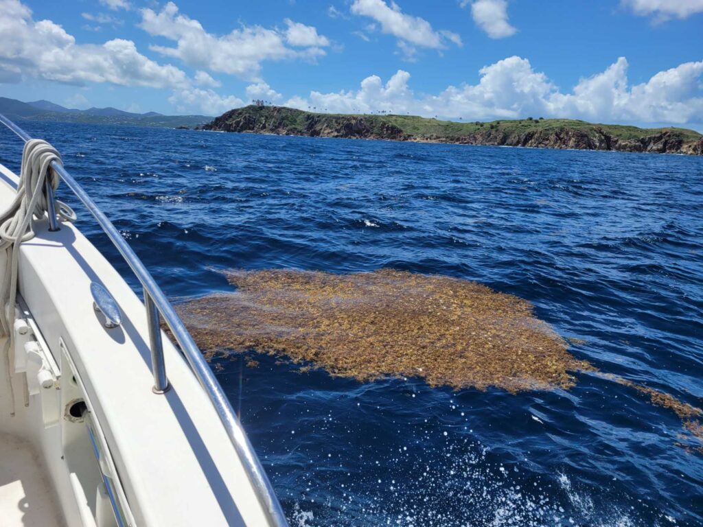 a boat on the water (MyCoast AI)