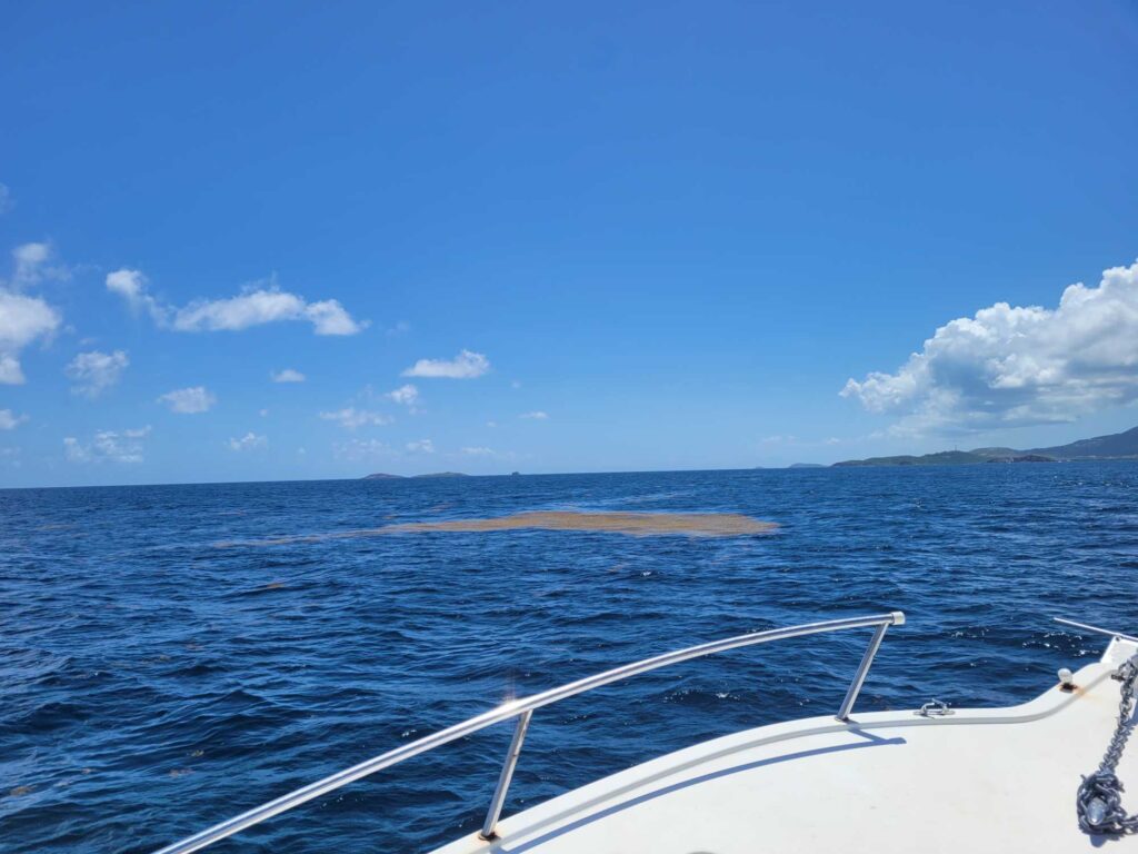 a boat on the water (MyCoast AI)
