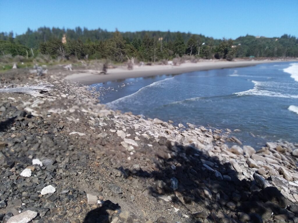 a rocky beach with trees in the background (MyCoast AI)