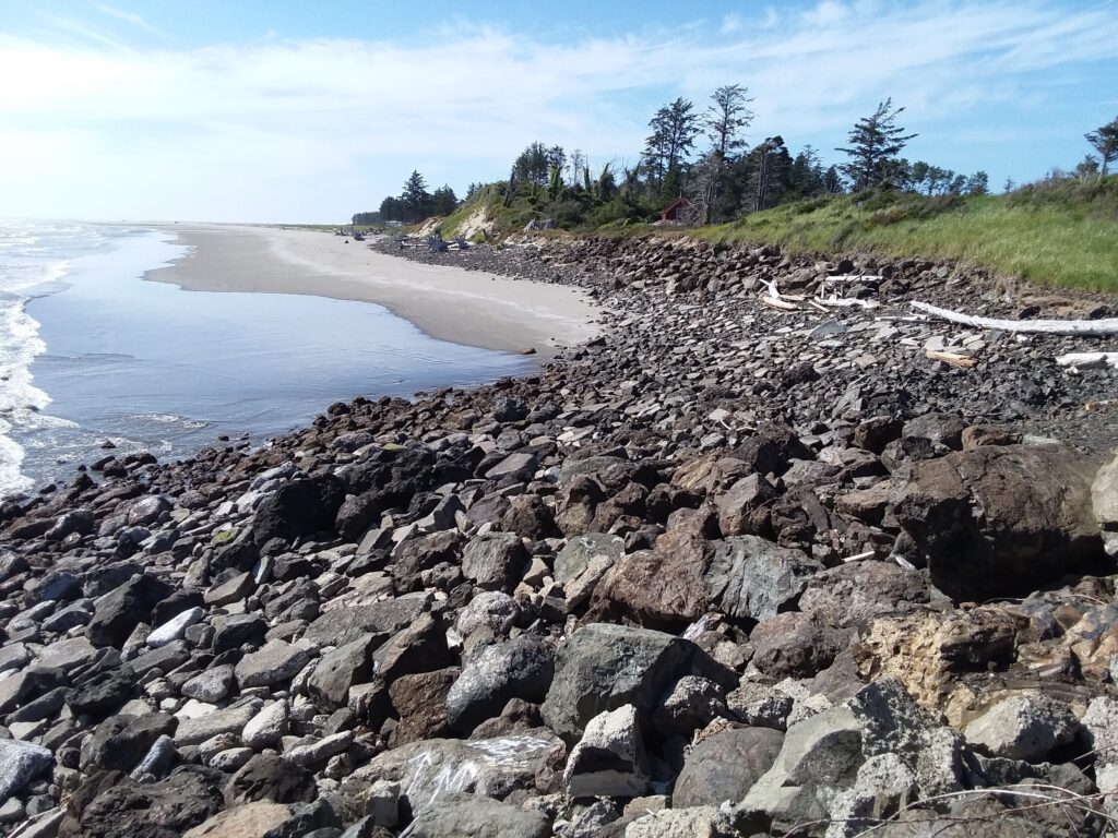 a rocky beach with trees and water (MyCoast AI)