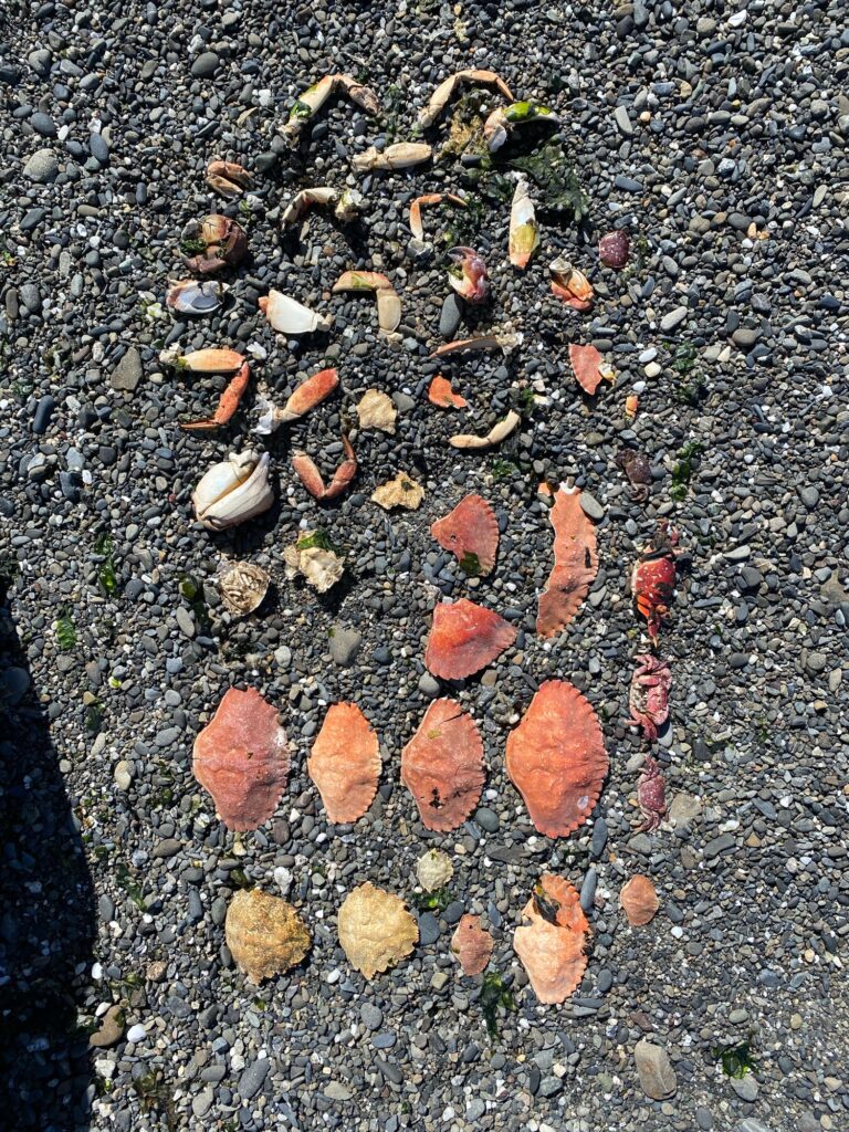 a group of red and orange objects on a rocky surface (MyCoast AI)