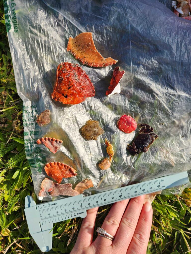 a person holding a knife over a plate of food (MyCoast AI)