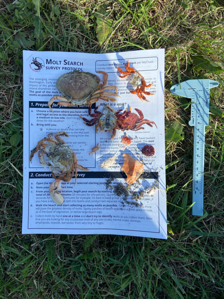 a book on the grass (MyCoast AI)