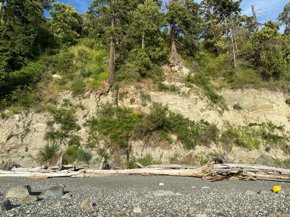 a rocky hillside with trees (MyCoast AI)
