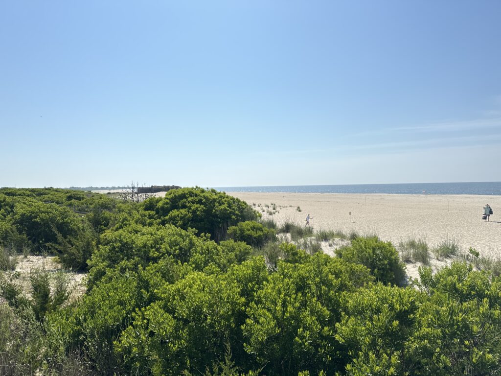 a landscape with trees and bushes (MyCoast AI)