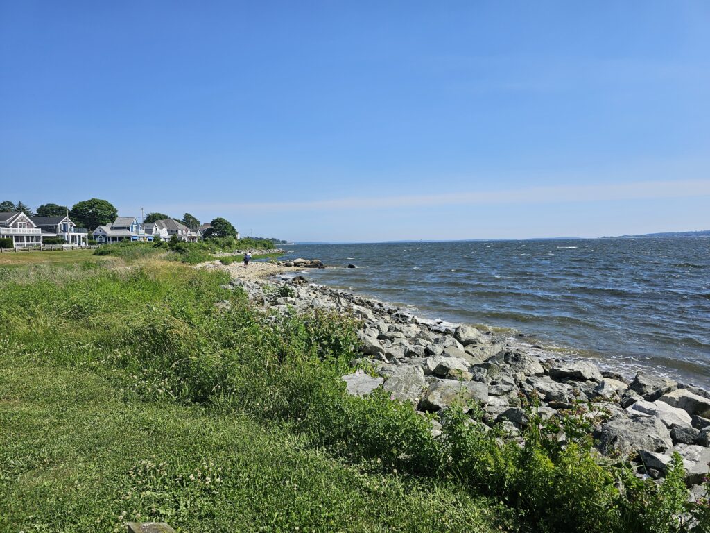 a rocky beach with houses and trees (MyCoast AI)