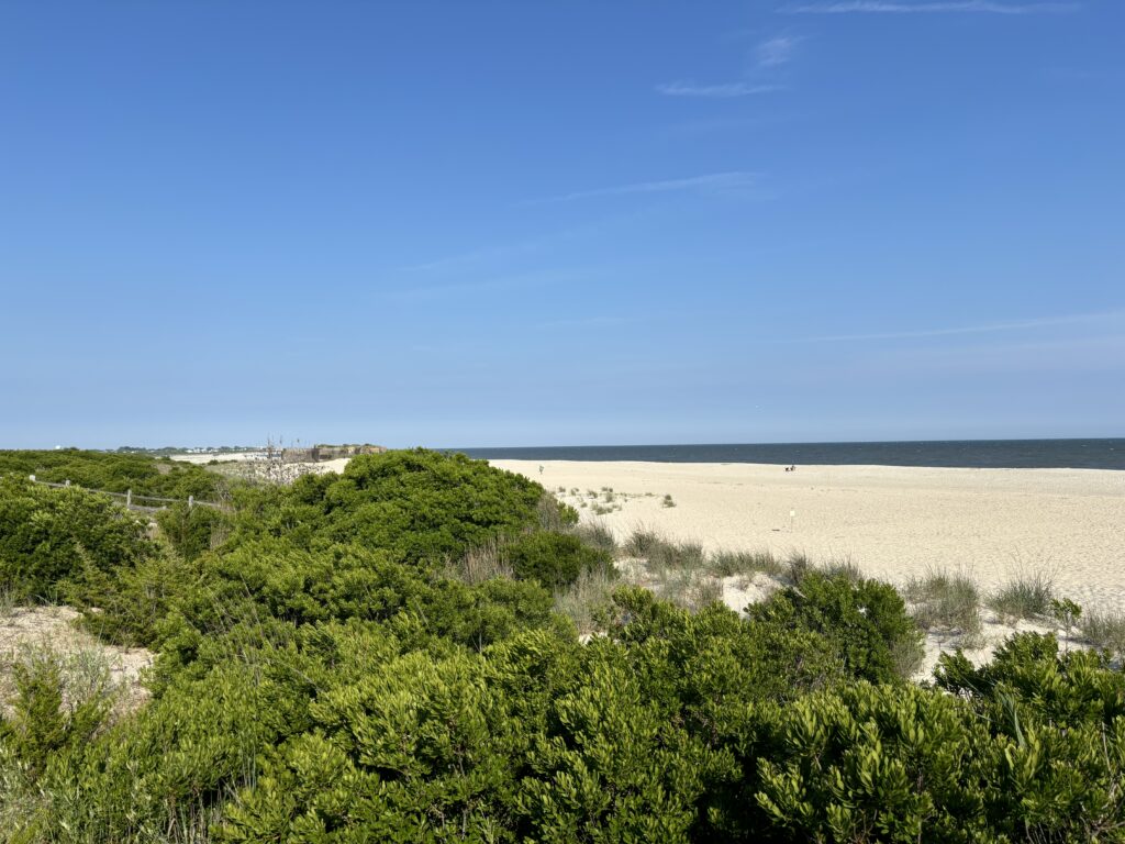 a sandy beach with trees (MyCoast AI)