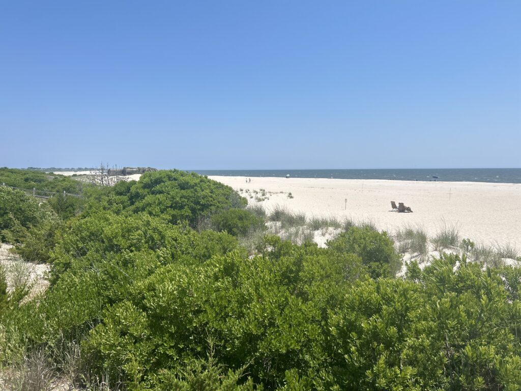 a sandy beach with trees (MyCoast AI)