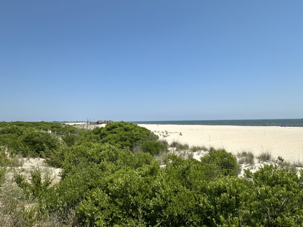 a beach with trees and bushes (MyCoast AI)
