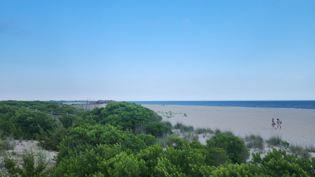 a beach with trees and bushes (MyCoast AI)