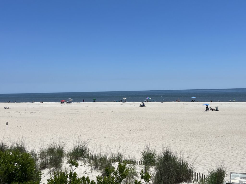 a beach with people and umbrellas (MyCoast AI)