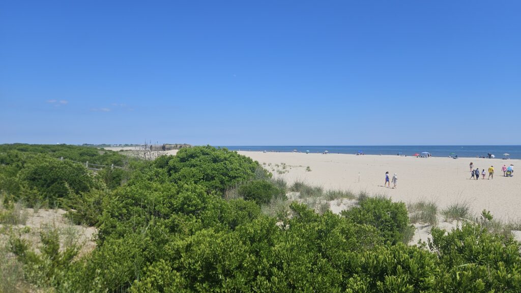 a group of people walking on a beach (MyCoast AI)