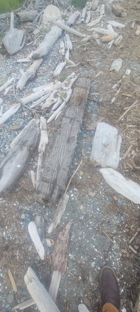 a pile of wood (MyCoast AI)