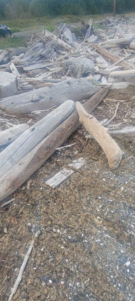 a pile of wood and debris (MyCoast AI)