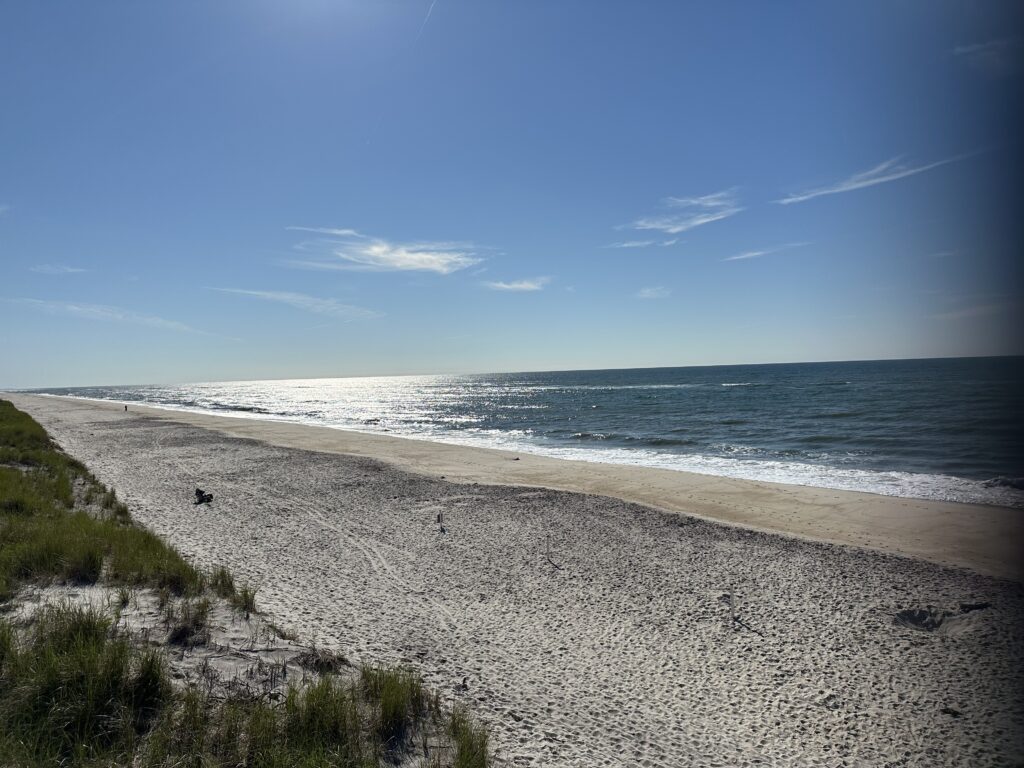 a sandy beach with waves crashing on it (MyCoast AI)