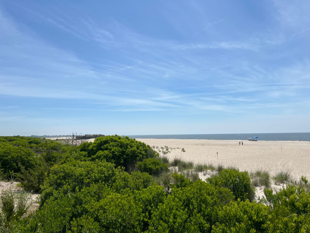 a sandy beach with trees and bushes (MyCoast AI)