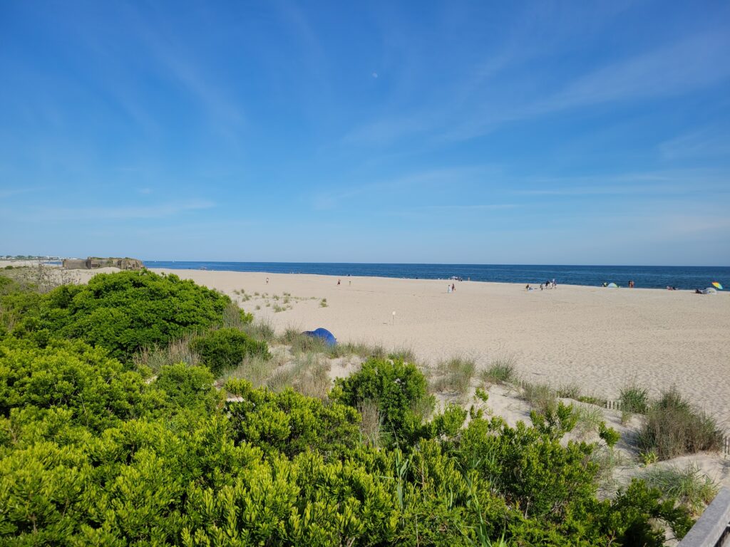 a beach with trees and bushes (MyCoast AI)