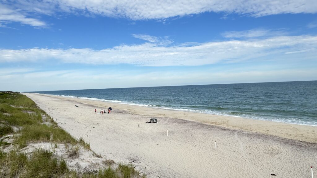 people on a beach (MyCoast AI)