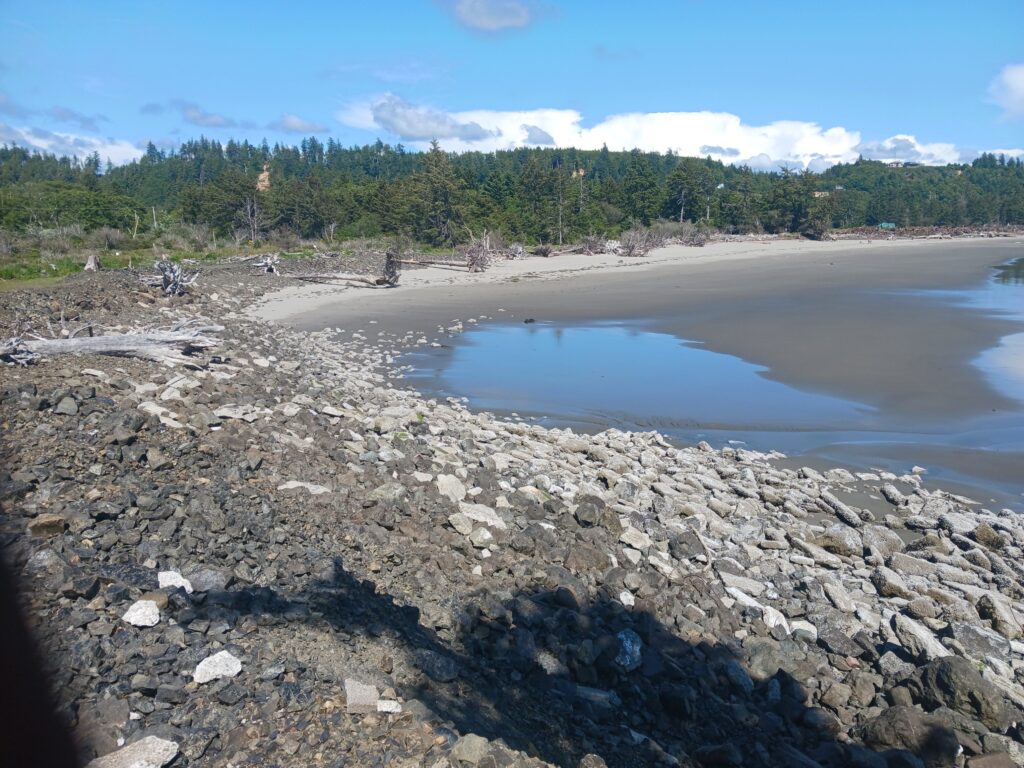 a rocky beach with a body of water and trees in the background (MyCoast AI)