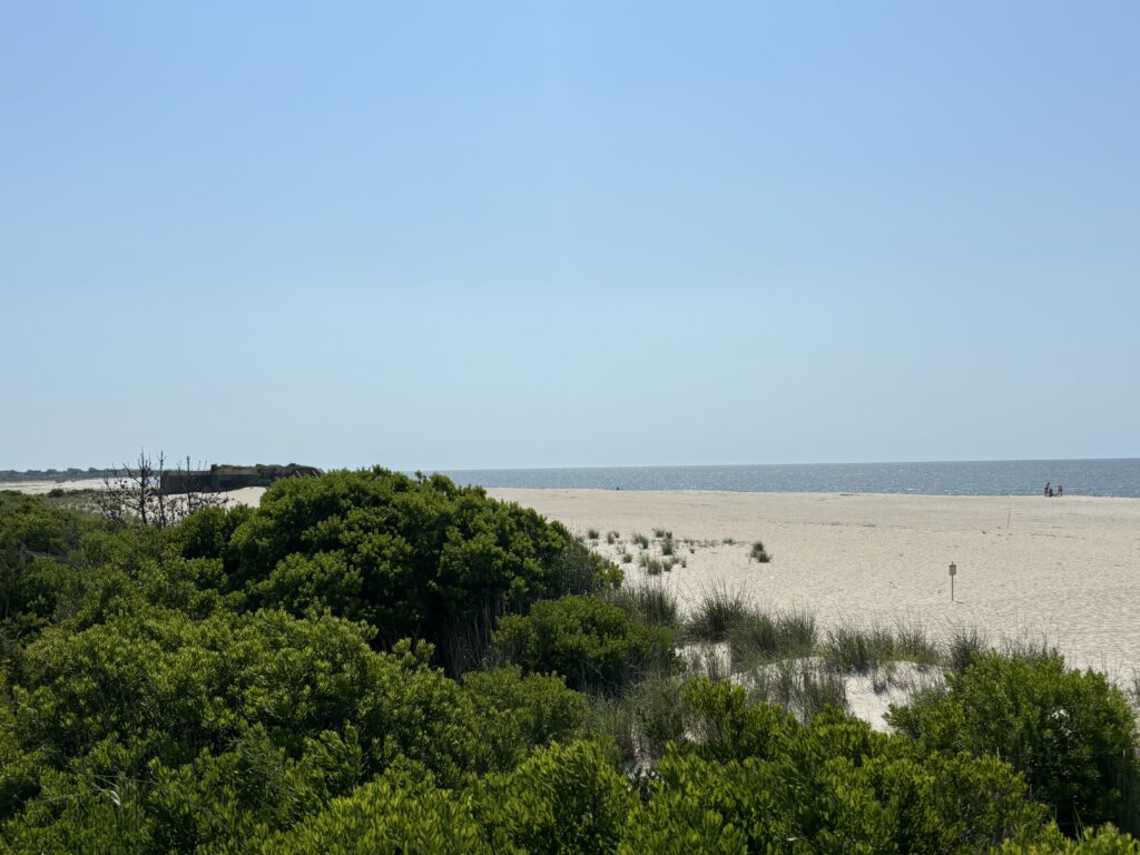 a landscape with trees and a body of water in the background (MyCoast AI)