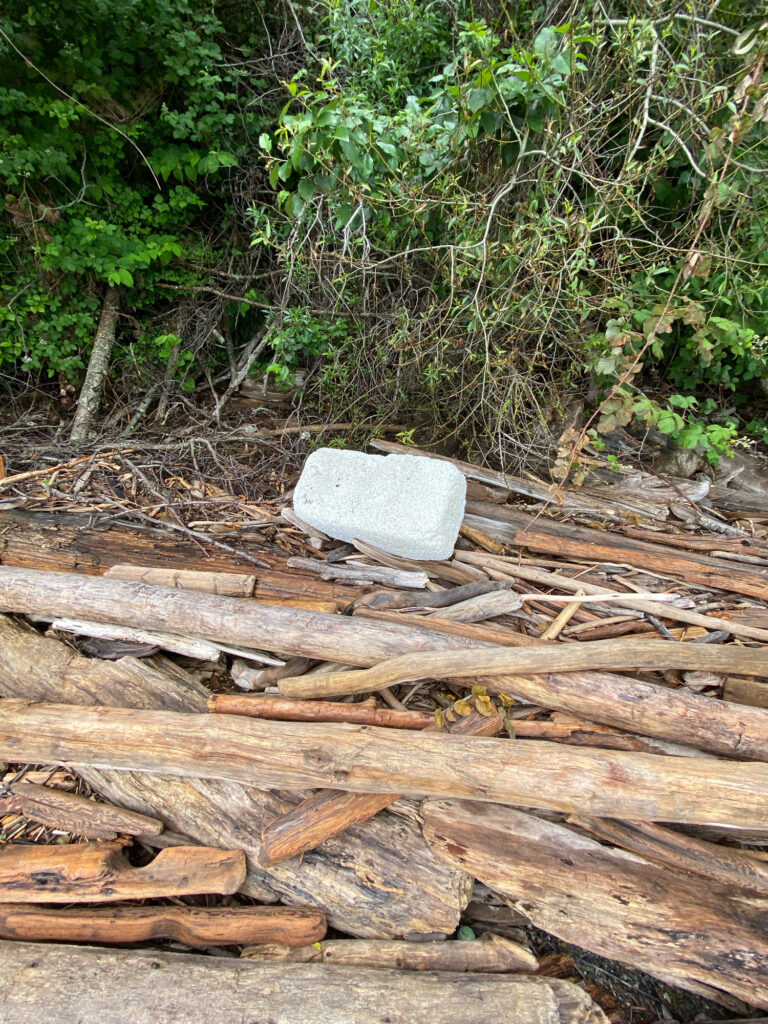 a pile of wood (MyCoast AI)
