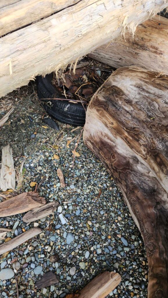 a shoe on the ground (MyCoast AI)