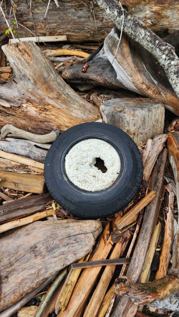 a tire on a tree (MyCoast AI)