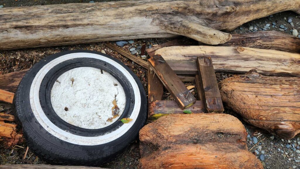 a tire on a log (MyCoast AI)