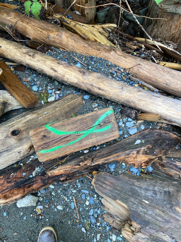 a piece of wood with a green object on it (MyCoast AI)