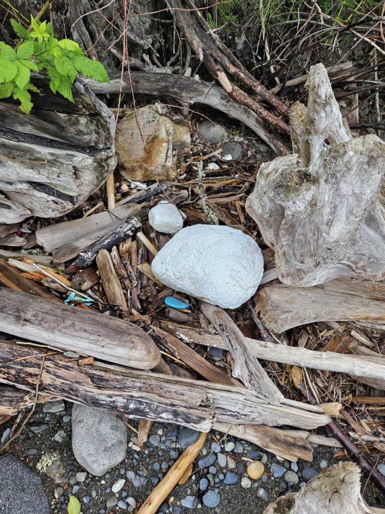 a pile of wood and rocks (MyCoast AI)