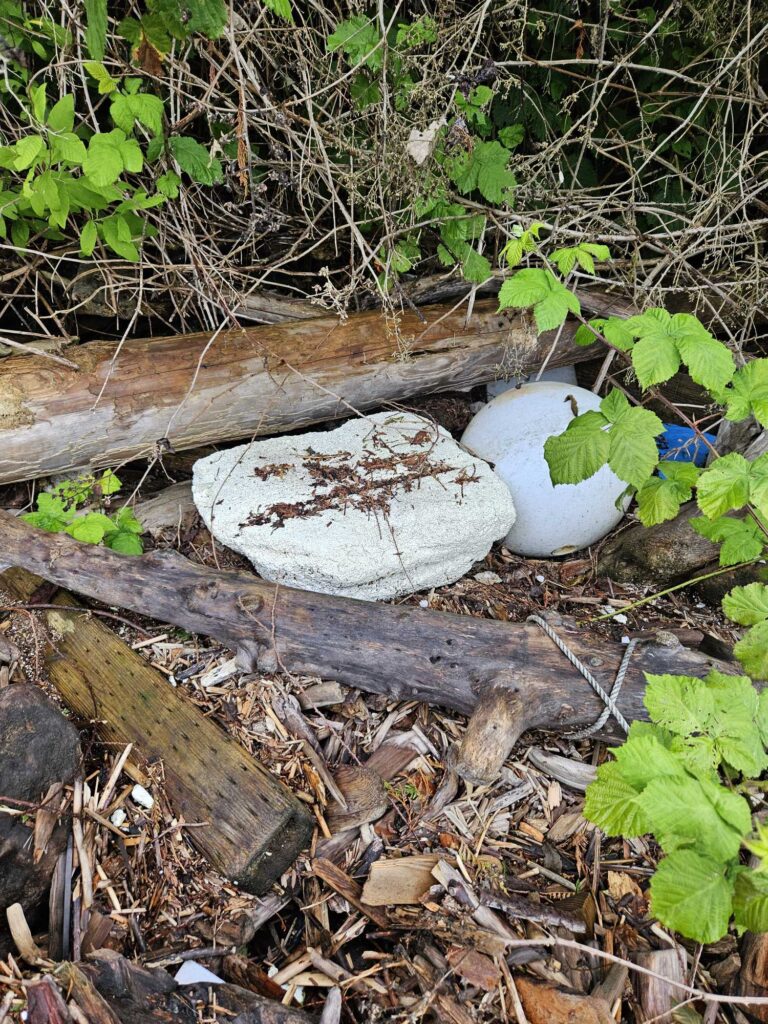 a broken toilet in the woods (MyCoast AI)