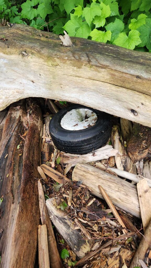 a bird house in a tree (MyCoast AI)