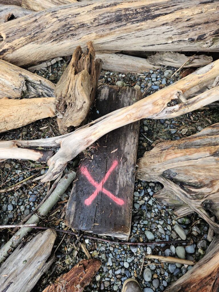 a broken piece of wood (MyCoast AI)