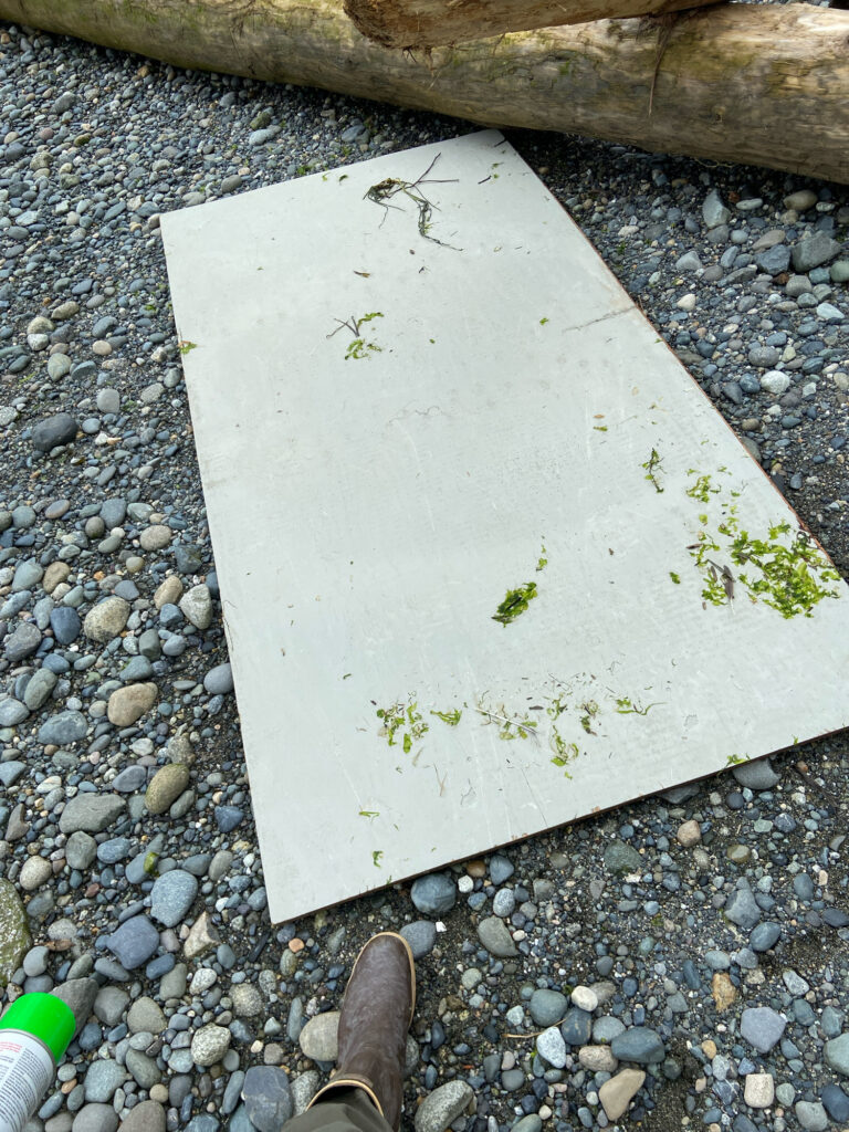 a stone with a cross on it (MyCoast AI)