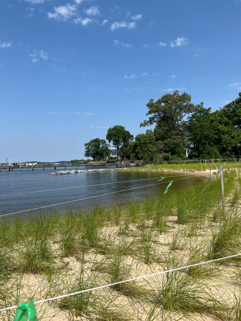 a body of water with grass and trees around it (MyCoast AI)