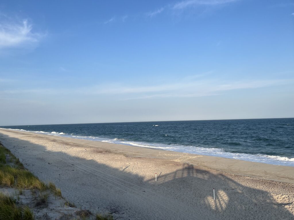 a beach with waves crashing on it (MyCoast AI)