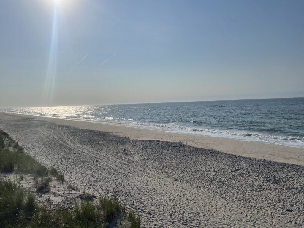a beach with waves crashing on it (MyCoast AI)