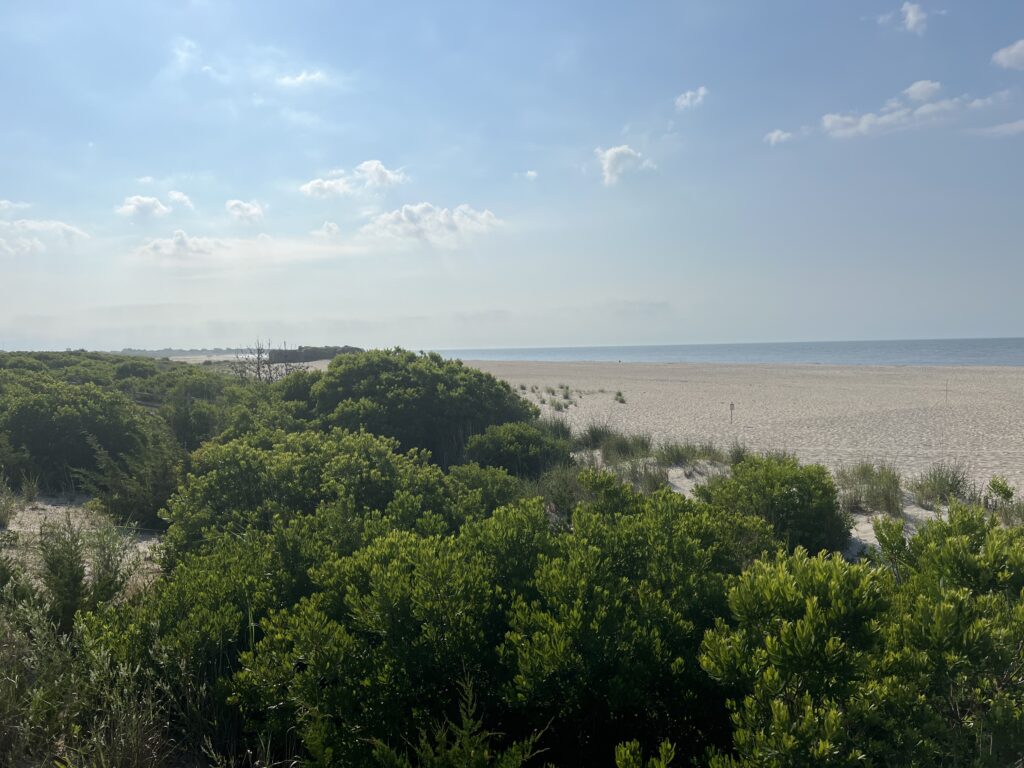 a beach with trees and a body of water in the background (MyCoast AI)