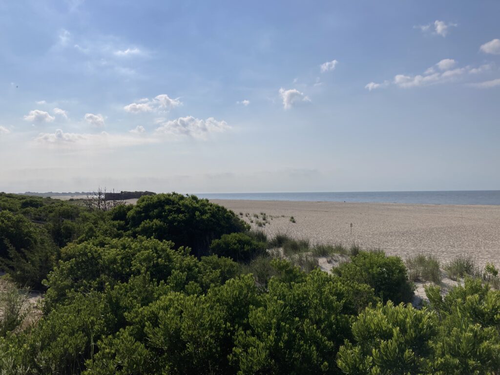 a beach with trees and a body of water in the background (MyCoast AI)