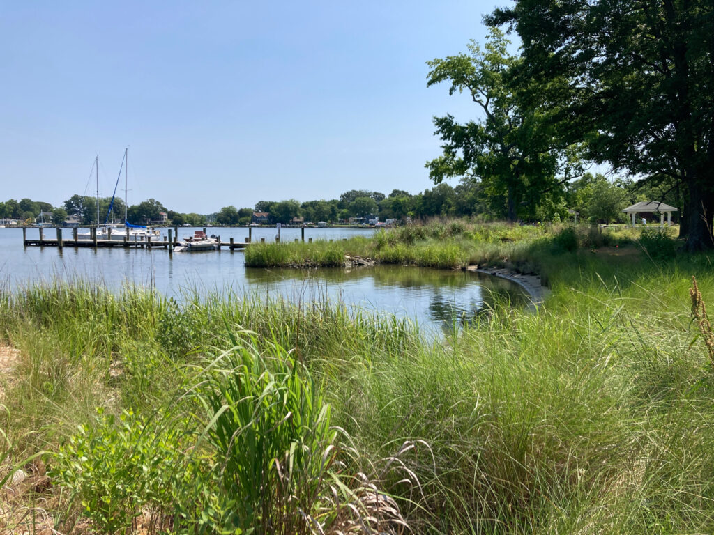 a body of water with boats in it and grass around it (MyCoast AI)